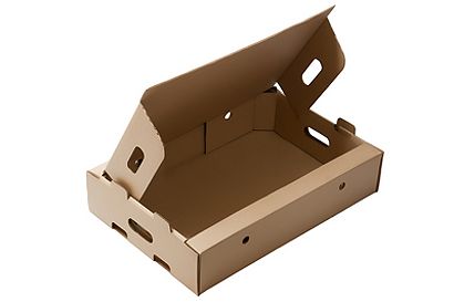 Box